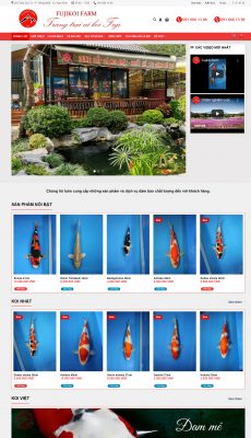 Thiết kế website hồ cá koi tại Nam Định